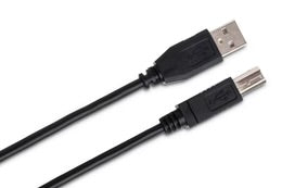 Hosa High Speed USB Cable 10FT