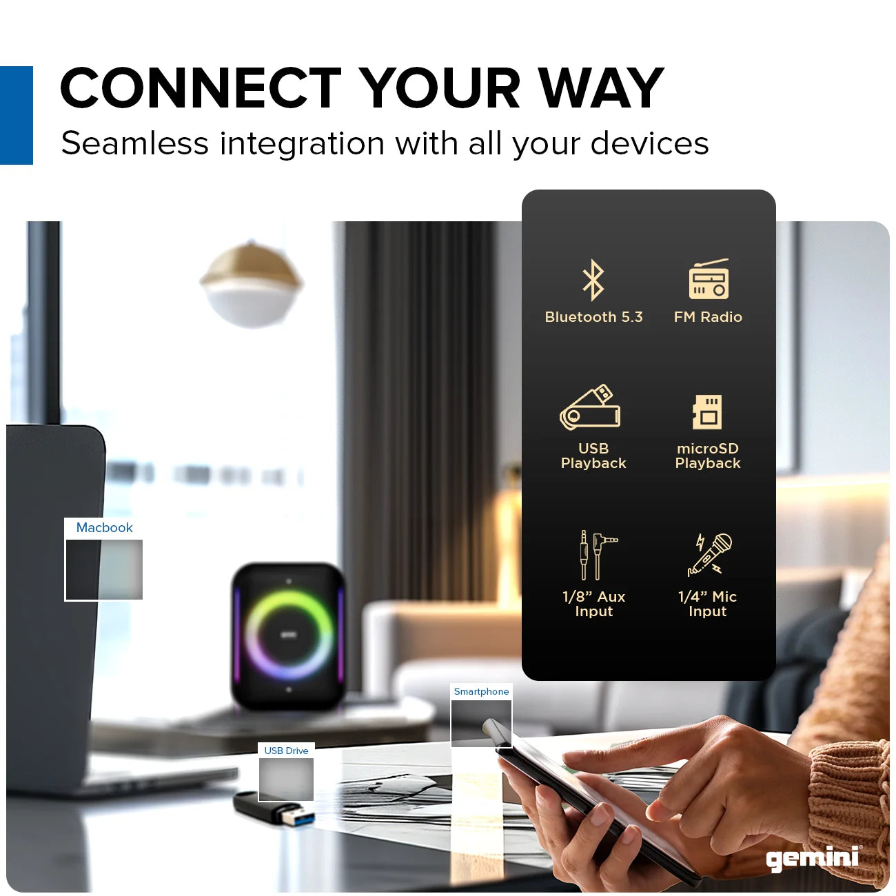 Gemini Sound Portable PA speaker 320W, 5" — for outdoor events and parties (GRV-650L)