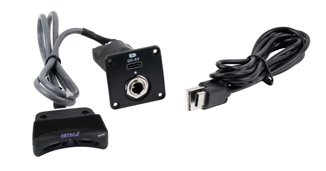 Ortega Magus Preamp & Pickup
