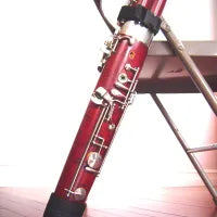 Hodge Compact Bassoon Minder